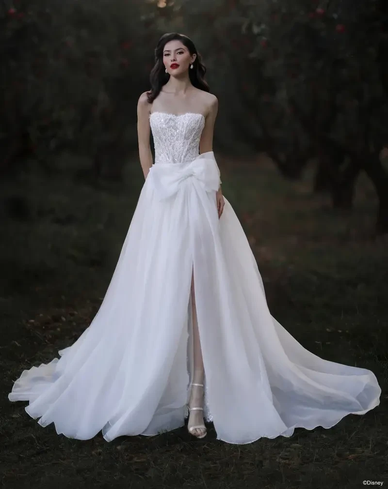 Disney Fairy Tale Weddings