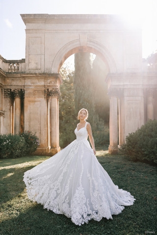 Disney Fairy Tale Weddings D443 - Cinderella Image