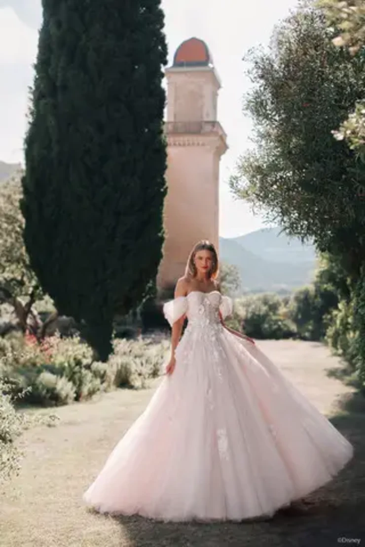 Disney Fairy Tale Weddings D436 - Rapunzel Default Image