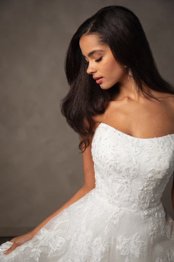 Essense of Australia D4571 #2 default (IV-BC) Ivory Lace and Tulle over Biscotti Gown thumbnail