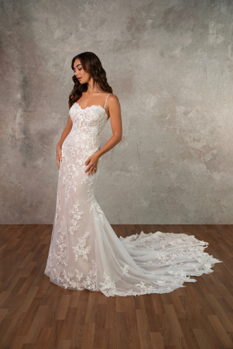 Essense of Australia D4344 #0 default (IV-RM) IVORY LACE AND TULLE OVER RUM GOWN (IV-IV) Ivory Lace and Tulle over Ivory Gown thumbnail