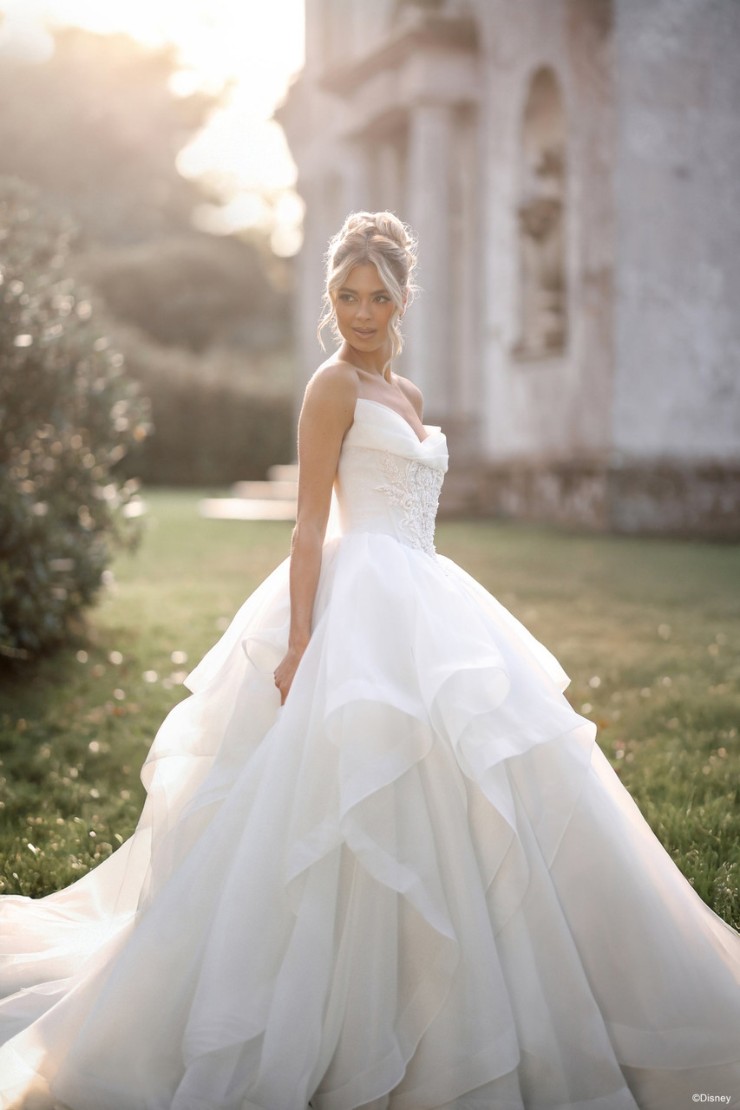 Disney Fairy Tale Weddings D463 Cinderella Default Image