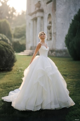 Disney Fairy Tale Weddings D463 Cinderella #5 default Ivory/Silver thumbnail