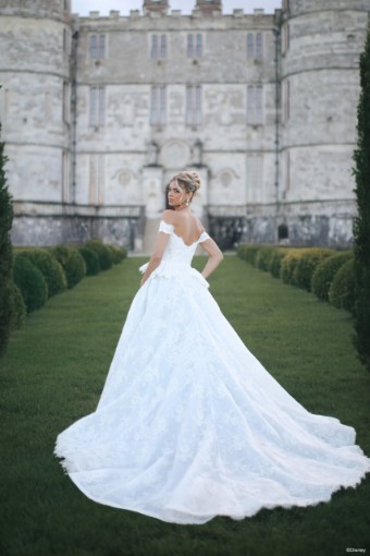 Disney Fairy Tale Weddings D473 Cinderella #1 Platinum/Blue/Ivory thumbnail