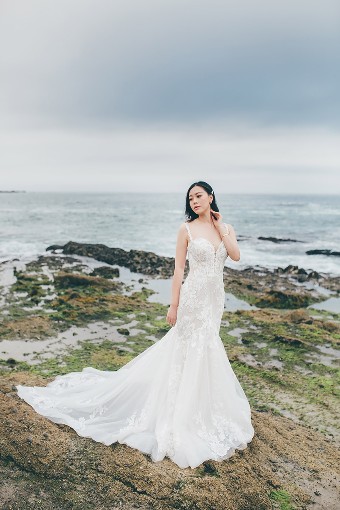 Essense of Australia D3393 #0 default (IVRM-PL) IVR Lace & Tulle ov Rum Gwn w PLN Front Bod Lining & Plunge thumbnail