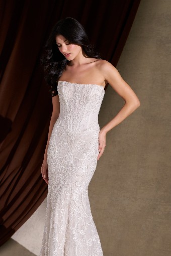 Allure Couture C841L #3 Ivory/Nude/Silver thumbnail