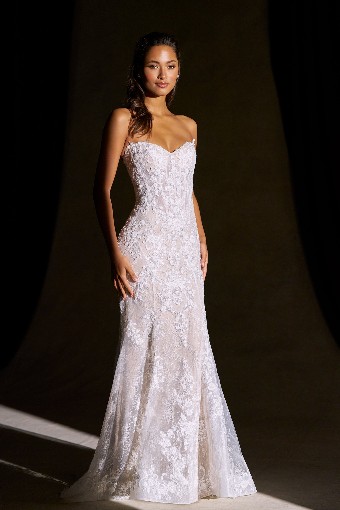 Allure Couture C844 #0 default Nude/Ivory/Champagne/Nude thumbnail