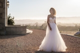 Allure Bridals A1104 #4 IVORY/CHAMP/NUDE thumbnail