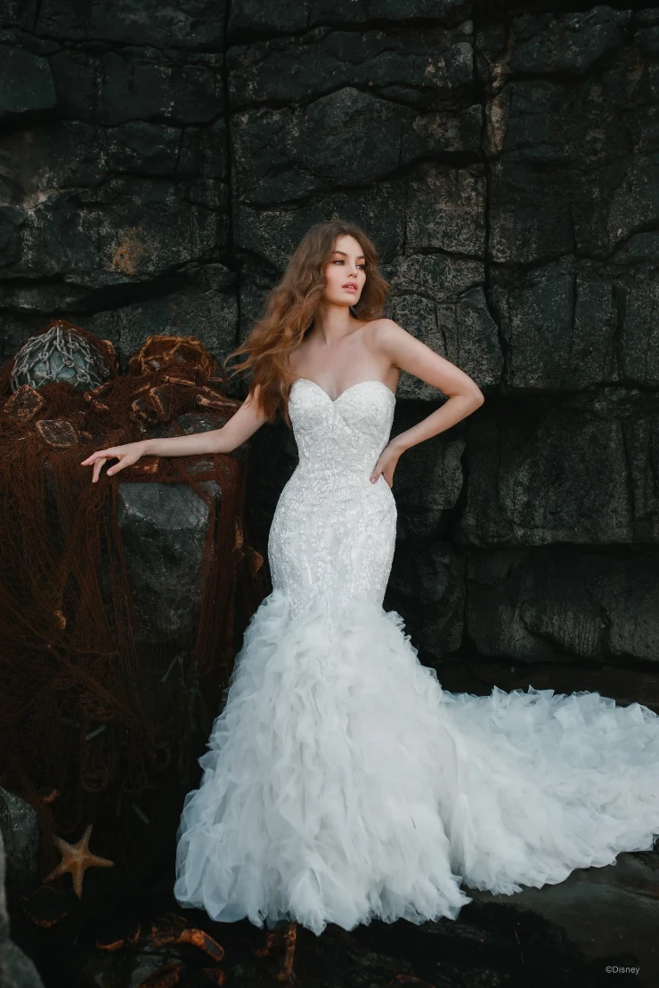 Disney Fairy Tale Weddings D310 Image