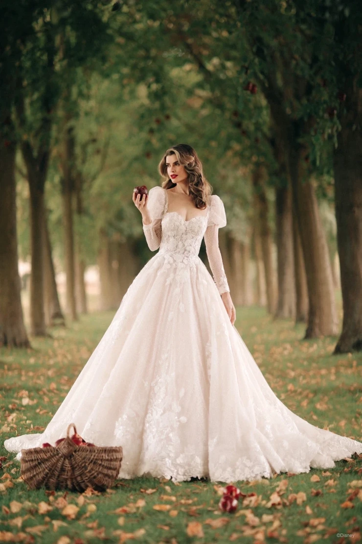 Disney Fairy Tale Weddings DP357 Image
