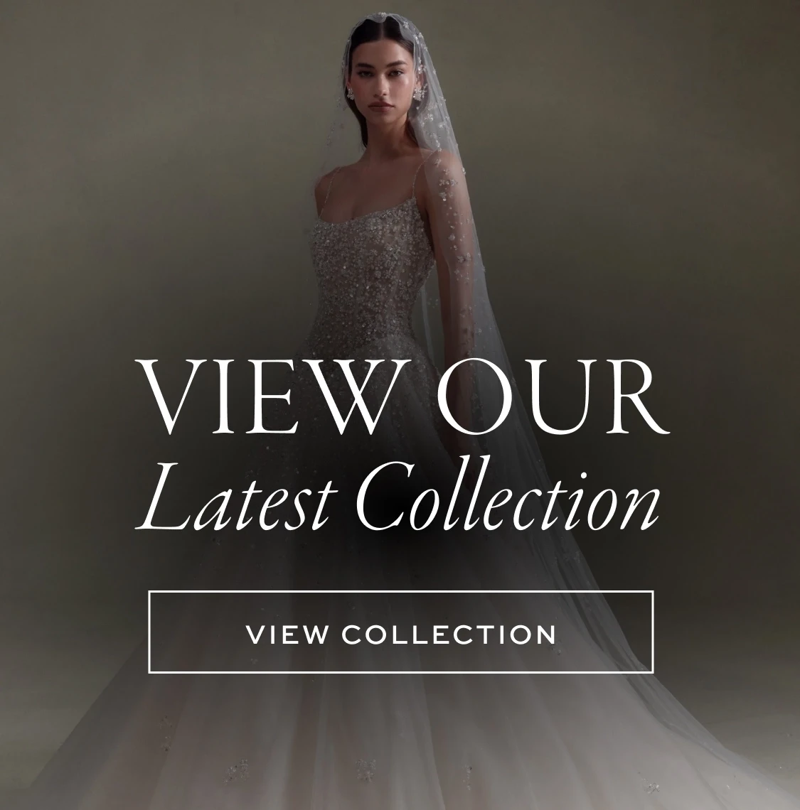 View Our Latest Collection