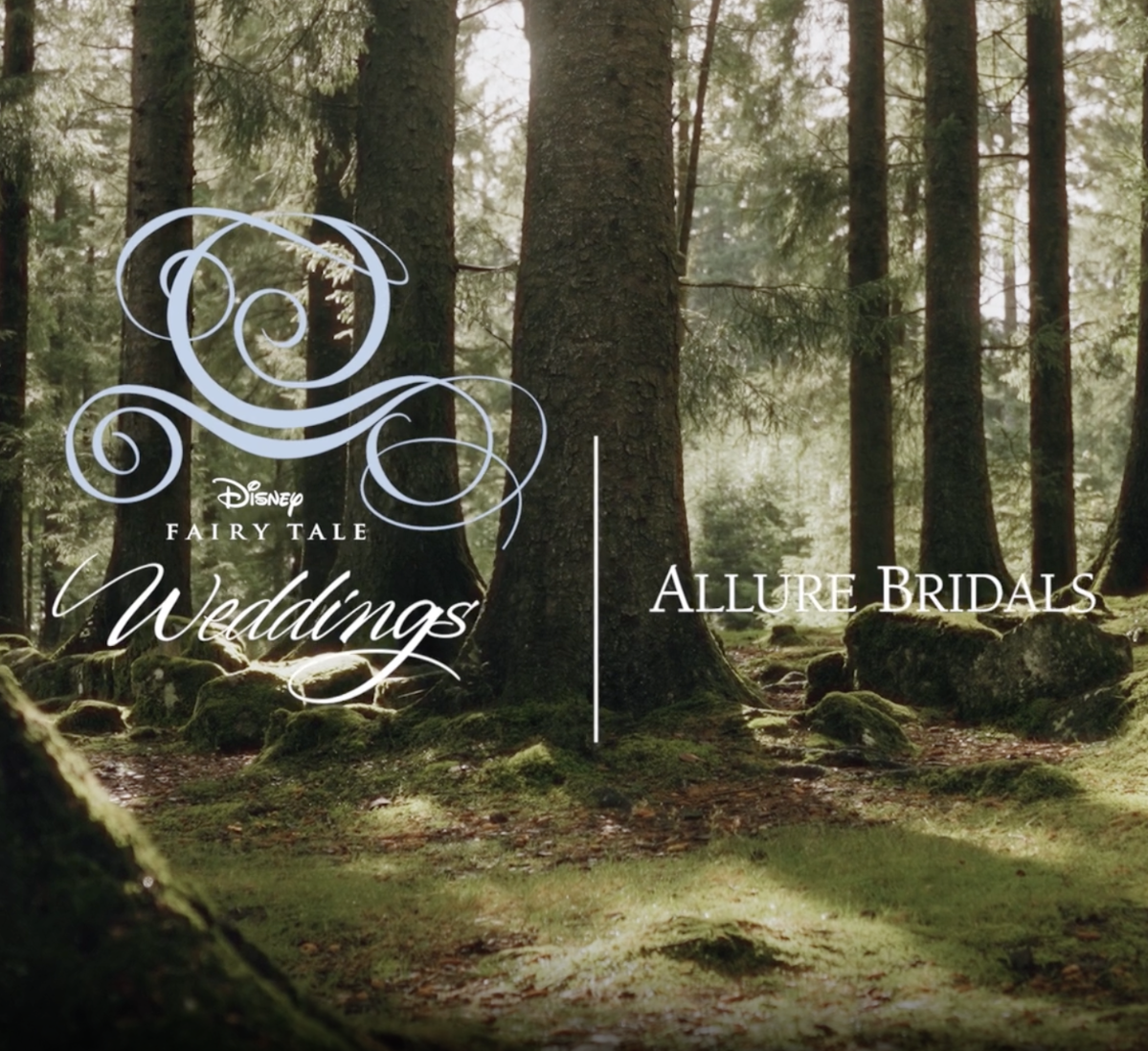 Disney Fairy Tale Weddings Coming Soon
