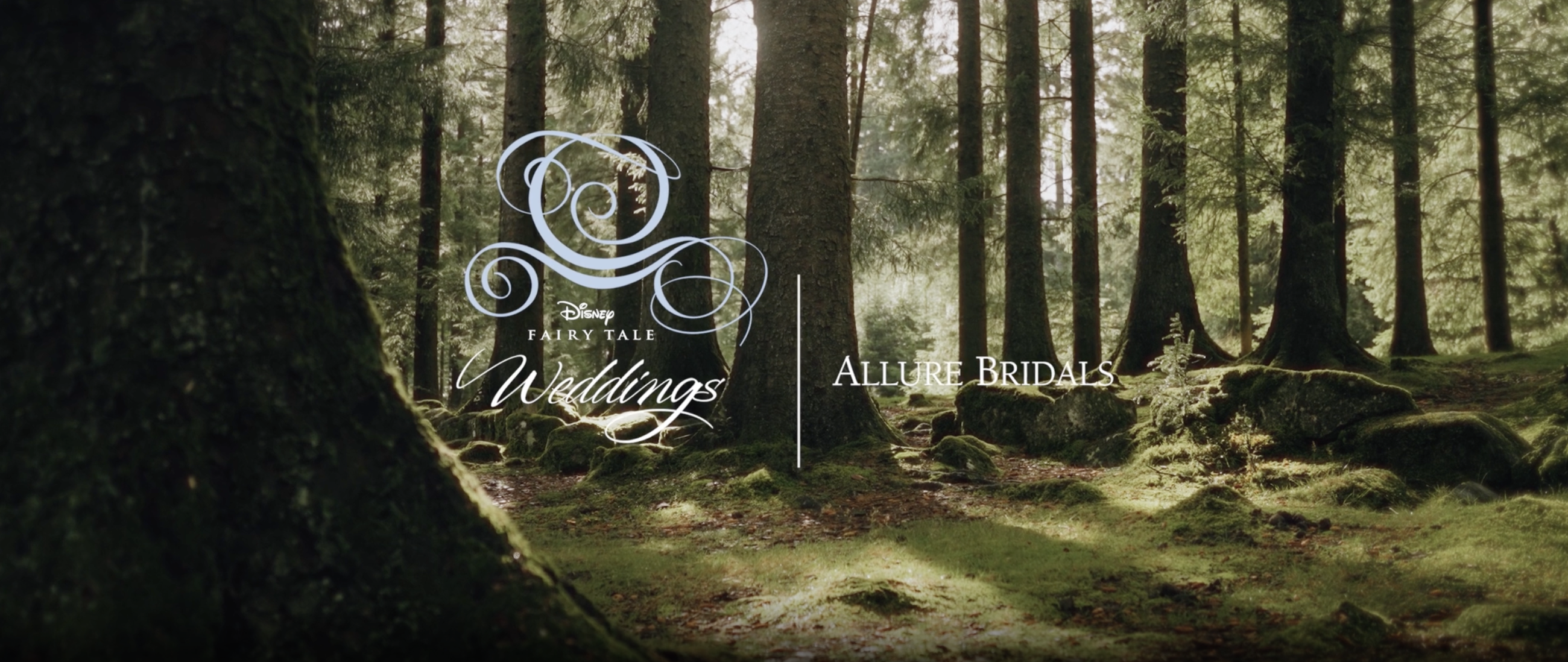 Disney Fairy Tale Weddings Coming Soon